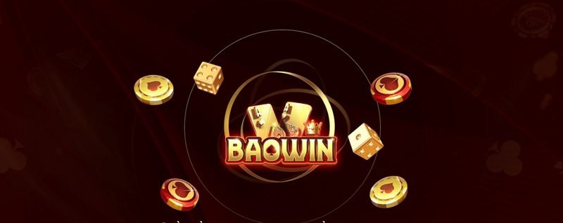 Giới thiệu về Baowin